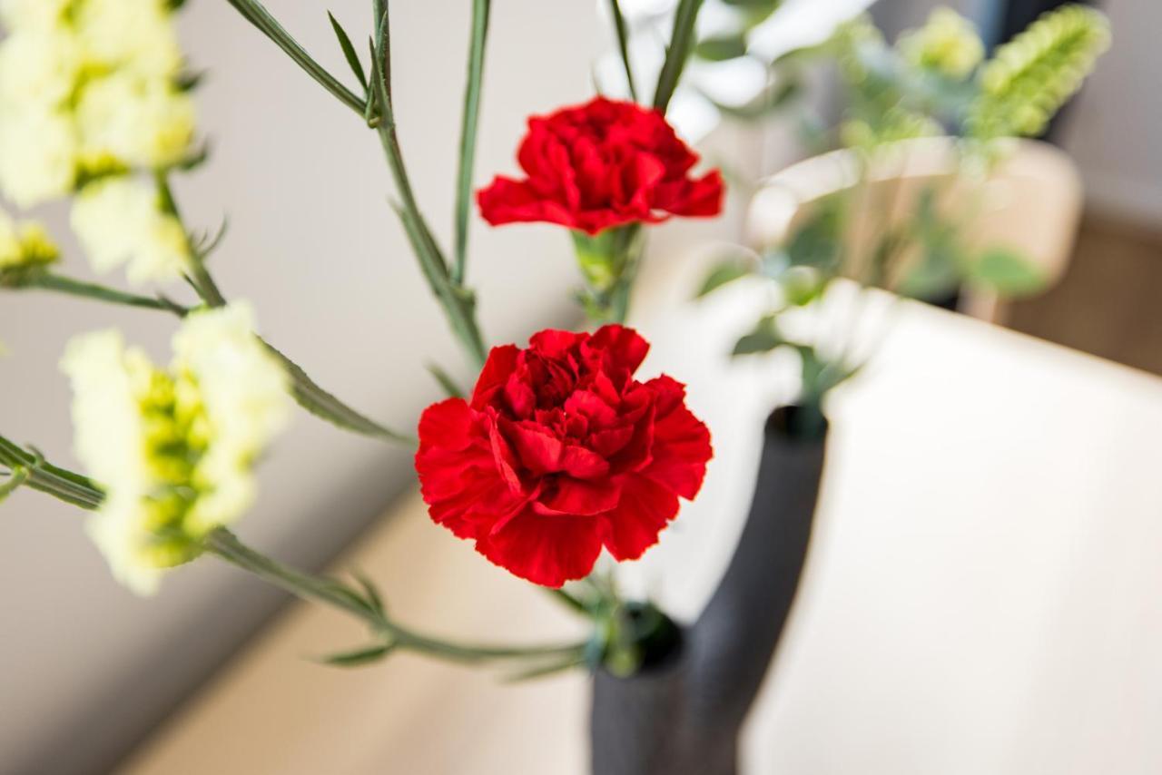 Mornington Crescent Apartment Лондон Екстериор снимка